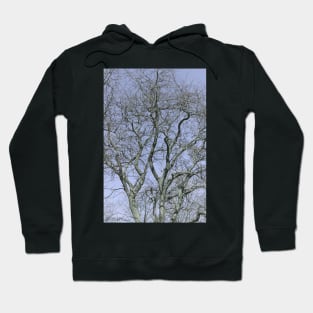 For The Love Of Trees - 2 © Hoodie